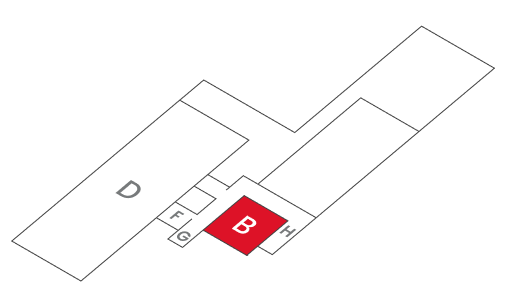 B 活性化