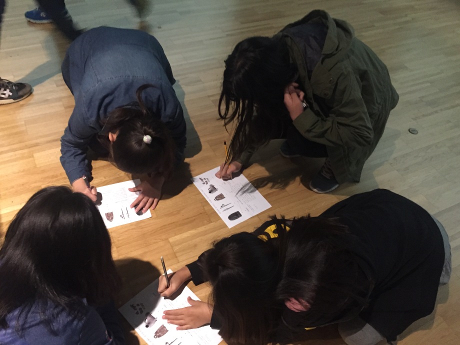 겨울박물관교실: 무늬를 찾아라!대표이미지
