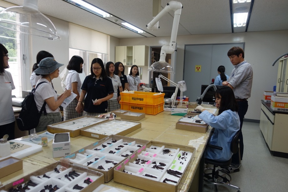 자유학기제 연계: 박물관 큐레이터가 되어(상시)대표이미지
